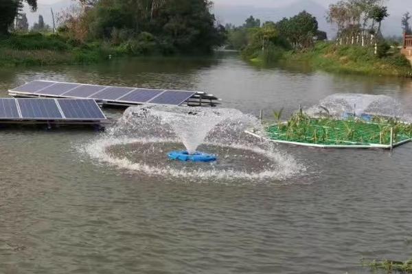 創寧和博特變頻水泵,選哪個?(創寧變頻水泵哪家公司生產)