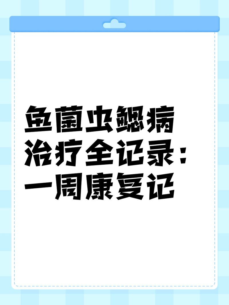 魚鰓爛了能恢復嗎，養魚老道爛鰓病有哪些癥狀