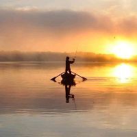 禁用忘不了魚有啥后果，《國禁用忘不了魚有啥后果沖擊 禁用忘不了魚有啥后果，《國禁用忘不了魚有啥后果沖擊 龍魚百科 第6張