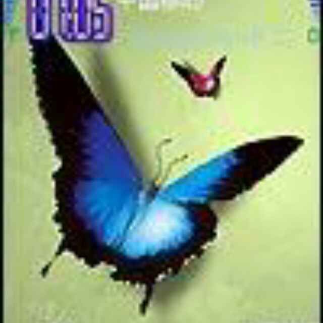 禁用忘不了魚有啥后果，《國(guó)禁用忘不了魚有啥后果沖擊