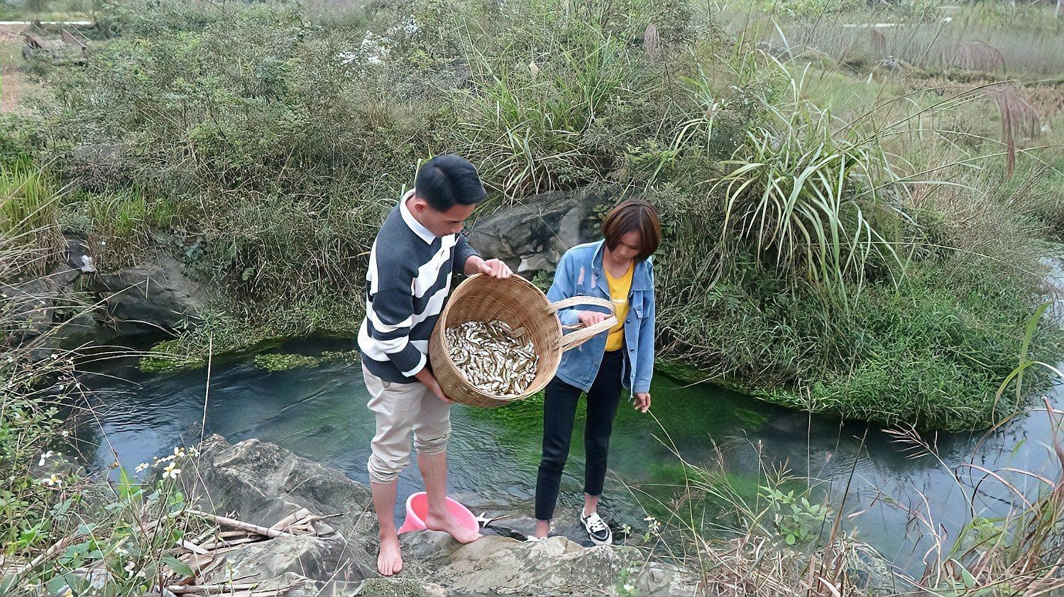 散裝龍魚干如何確保安全？