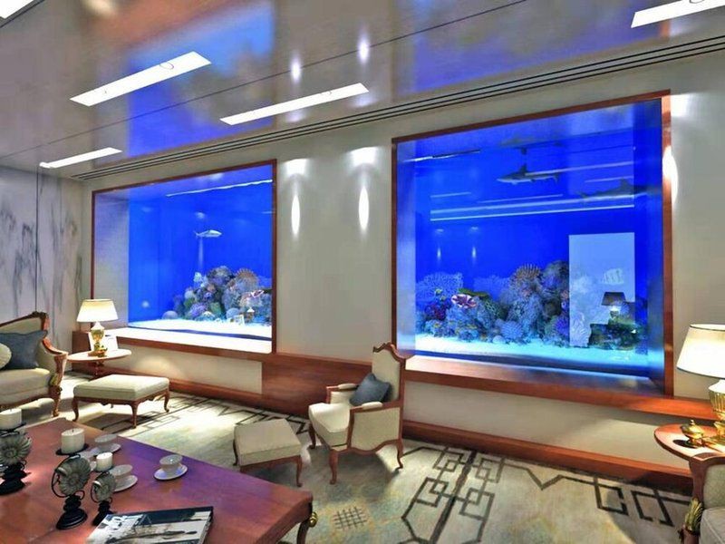 曲靖魚缸批發市場，曲靖哪里賣魚缸便宜實惠的