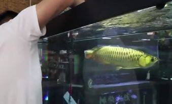 上門修理魚缸的電話（大連魚缸維修電話師傅上門維修服務）