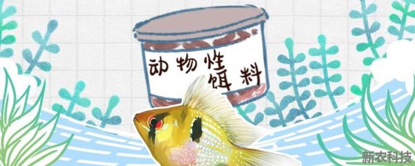 創(chuàng)寧變頻水泵代碼F什么意思（創(chuàng)寧變頻水泵使用方法）