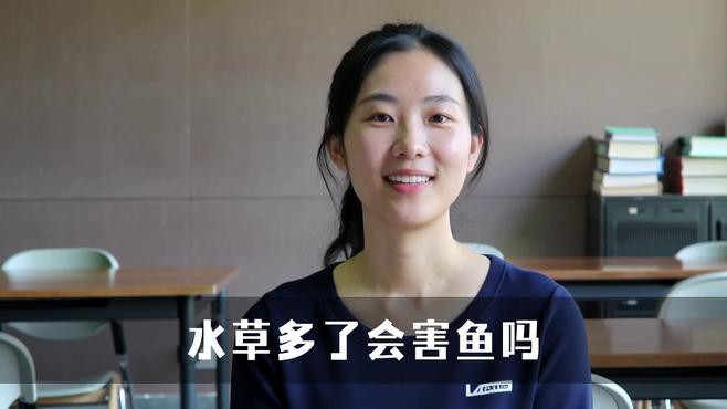 為什么養(yǎng)魚不建議種水草，《為什么養(yǎng)魚不建議種水草》魚缸養(yǎng)水草有這么幾個壞處