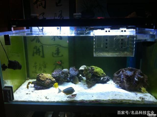 創寧水泵不上水的原因有哪些呢(創寧水泵不上水的原因有哪些呢怎么解決)