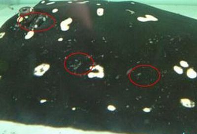 博特水泵質(zhì)保多久換濾芯啊視頻(博世尿素泵濾芯更換里程)