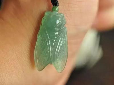 黑龍江寶泉嶺農墾心緣生態水族花卉店 全國水族館企業名錄 第1張 黑龍江寶泉嶺農墾心緣生態水族花卉店 黑龍江寶泉嶺農墾心緣生態水族花卉店 全國水族館企業名錄 第1張