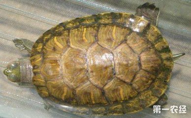 森森魚缸底座材料 森森魚缸底座材料 森森魚缸 第2張