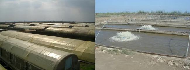 創寧變頻水泵官網查詢(創寧變頻水泵新款老款有什么區別)