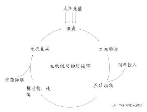 虎魚好不好怎么分辨：虎魚好不好怎么辨別