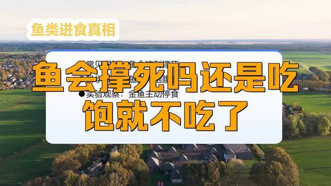 如何判斷過背金龍魚是否吃飽？，如何判斷過背金龍魚是否吃飽