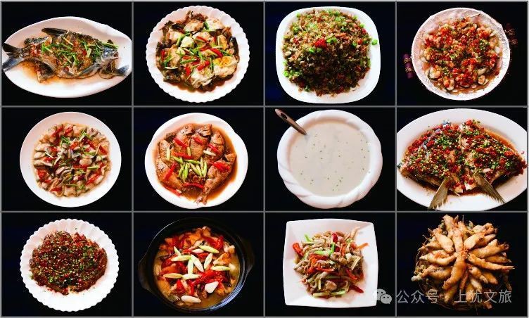 上猶龍魚店，上猶縣龍魚農莊店