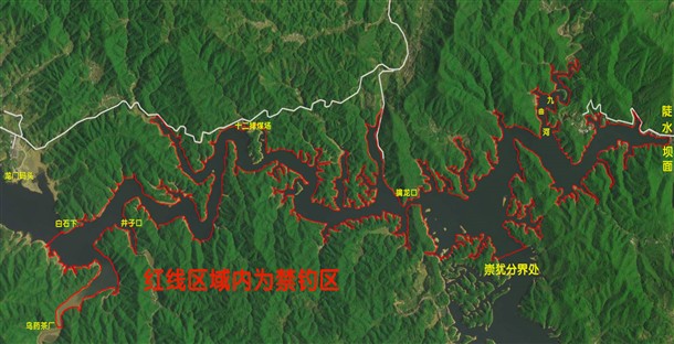 上猶龍魚店，上猶縣龍魚農莊店