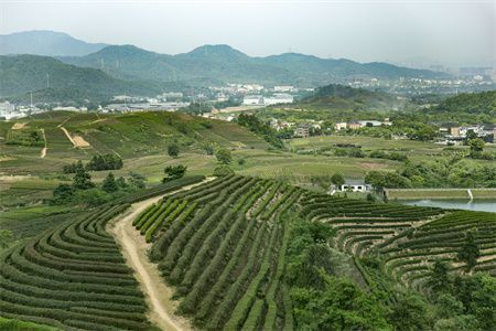 創寧變頻水泵是直流還是交流：創寧變頻水泵就是8800