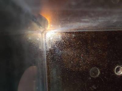 銀龍魚生長速度快嗎多少(銀龍魚的生長速度)