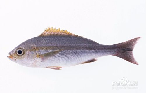 創(chuàng)寧加熱棒異常報(bào)警F10（創(chuàng)寧加熱棒異常報(bào)警h1）