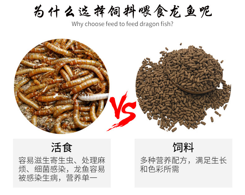 5cm虎魚苗喂什么好：5cm虎魚苗的喂養(yǎng)方式