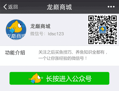 魚缸凈水劑是什么東西