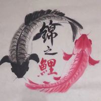 魚鰭充血有血絲怎么治療，場長教你錦鯉魚鰭充血原因及治療方法全民小視頻 魚鰭充血有血絲怎么治療，場長教你錦鯉魚鰭充血原因及治療方法全民小視頻 龍魚百科 第3張