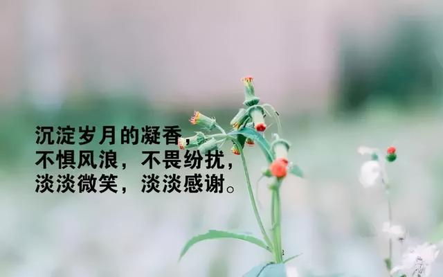 過背金龍魚價格多少錢一只圖片大全視頻，過背金龍魚的價格是多少 過背金龍魚價格多少錢一只圖片大全視頻，過背金龍魚的價格是多少 金龍魚百科 第2張