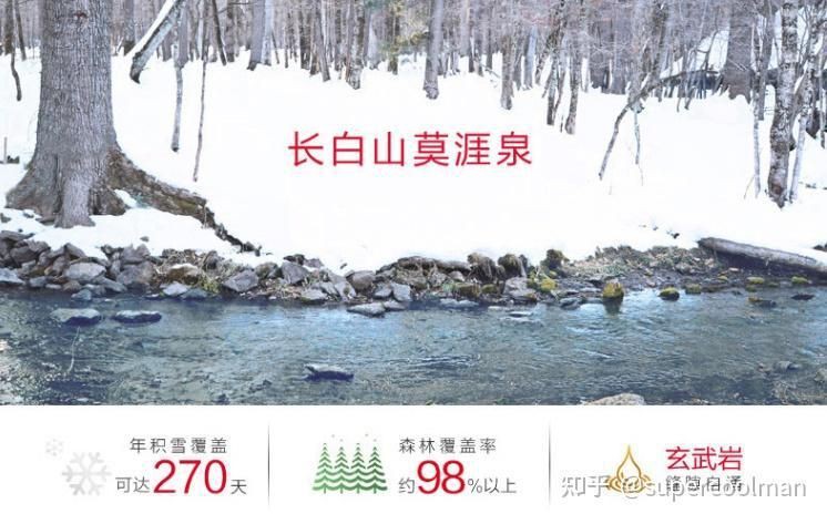 礦泉水家族，《礦泉水家族》《礦泉水家族》
