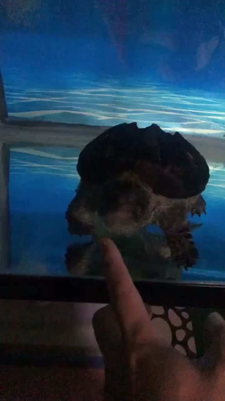 魚缸中氣泵放在哪個位置上好（養(yǎng)魚只開氣泵不開水泵行不行）