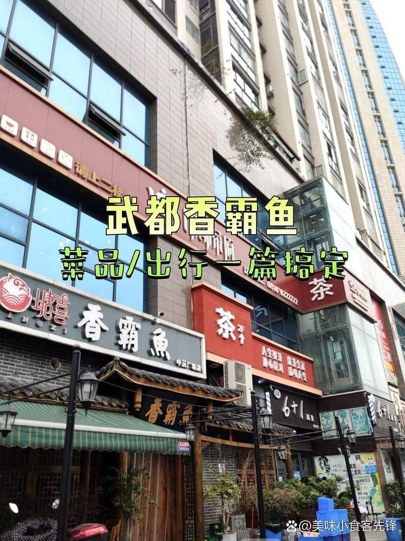 武都龍魚(yú)店,武都龍魚(yú)店有哪些套餐 全國(guó)水族館企業(yè)名錄 第1張 武都龍魚(yú)店,武都龍魚(yú)店有哪些套餐 武都龍魚(yú)店,武都龍魚(yú)店有哪些套餐 全國(guó)水族館企業(yè)名錄 第1張
