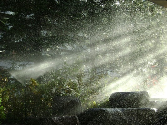 創寧和森森變頻水泵哪個好一點(創寧和森森水泵哪個好?) 創寧和森森變頻水泵哪個好一點(創寧和森森水泵哪個好?) 創寧水族 第2張