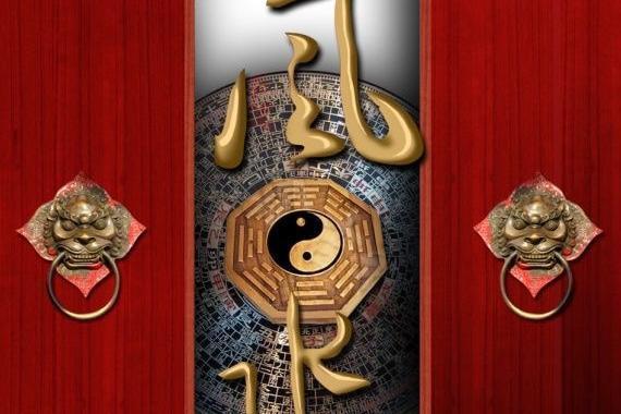 豬鼻龜多深的水養(yǎng)最好看呢圖片(豬鼻龜能深水養(yǎng)嗎)