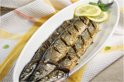 金虎魚（金虎魚圖片及價格） 金虎魚（金虎魚圖片及價格） 虎魚百科 第2張
