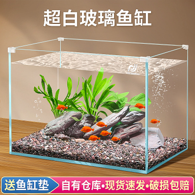 虎皮魚適合養(yǎng)多少條，虎皮魚用多大的魚缸，養(yǎng)多少條：80的魚缸能養(yǎng)多少條虎皮魚