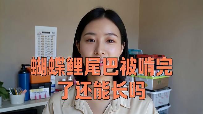 魚尾巴被咬后多久會恢復(fù)，《魚尾巴被咬后多久會恢復(fù)》