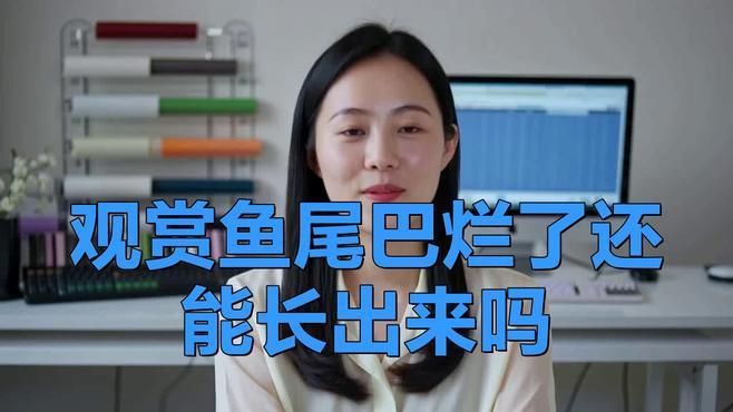 魚尾巴被咬后多久會恢復(fù)，《魚尾巴被咬后多久會恢復(fù)》