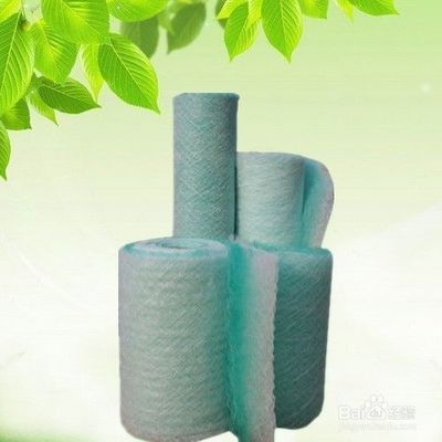 豬鼻龜多少水溫適合冬眠養(豬鼻子龜對水溫的要求) 豬鼻龜多少水溫適合冬眠養(豬鼻子龜對水溫的要求) 豬鼻龜百科 第2張