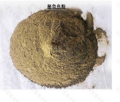 印尼小紅龍飼料營養搭配：印尼小紅龍發色