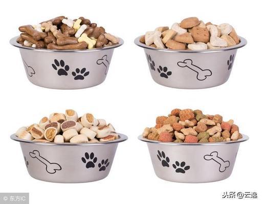 紅龍魚缸底用什么顏色：如何打造紅龍魚自然棲息環境，紅龍魚缸底材質選擇指南