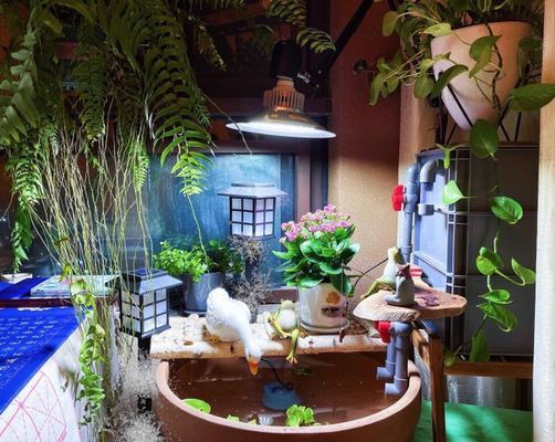 經典水族魚缸(觀賞水族缸)