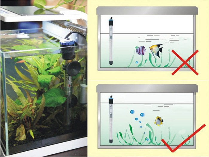 側(cè)濾魚缸改造升級方案怎么寫的：側(cè)濾魚缸改造升級方案