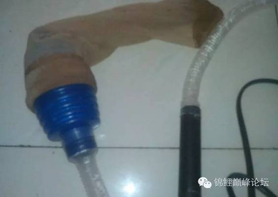 龍魚跳缸后內傷怎么辦呢(金龍魚跳缸受傷怎么治療)