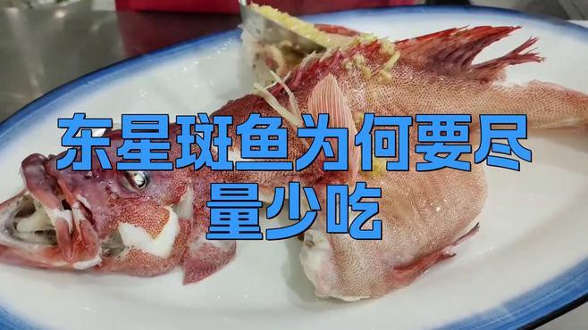 東星斑為何要盡量少吃，東星斑為什么不能刺身養生之道東星斑為什么不能刺身養生