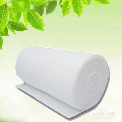 豬鼻龜?shù)娘曫B(yǎng)溫度(豬鼻龜適宜溫度)