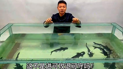 森森低吸水泵