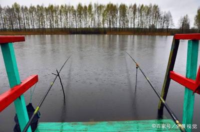 豬鼻龜幾級保護(hù)動物有哪些(豬鼻龜被列入國家二級動物了么)