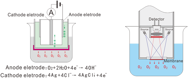 創寧水泵廠家電話地址查詢（創寧水泵廠家是哪里） 創寧水泵廠家電話地址查詢（創寧水泵廠家是哪里） 創寧水族 第2張