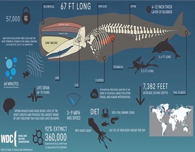 從中選出玻璃做一個金魚缸怎么做(玻璃金魚缸制作) 從中選出玻璃做一個金魚缸怎么做(玻璃金魚缸制作) 魟魚百科 第2張