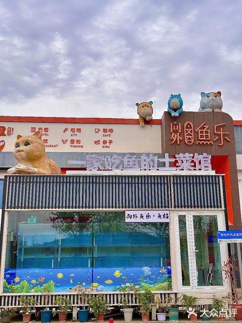 懷柔龍魚店，一家懷柔的龍魚店哪家懷柔的龍魚店口碑最好 懷柔龍魚店，一家懷柔的龍魚店哪家懷柔的龍魚店口碑最好 全國水族館企業(yè)名錄 第3張