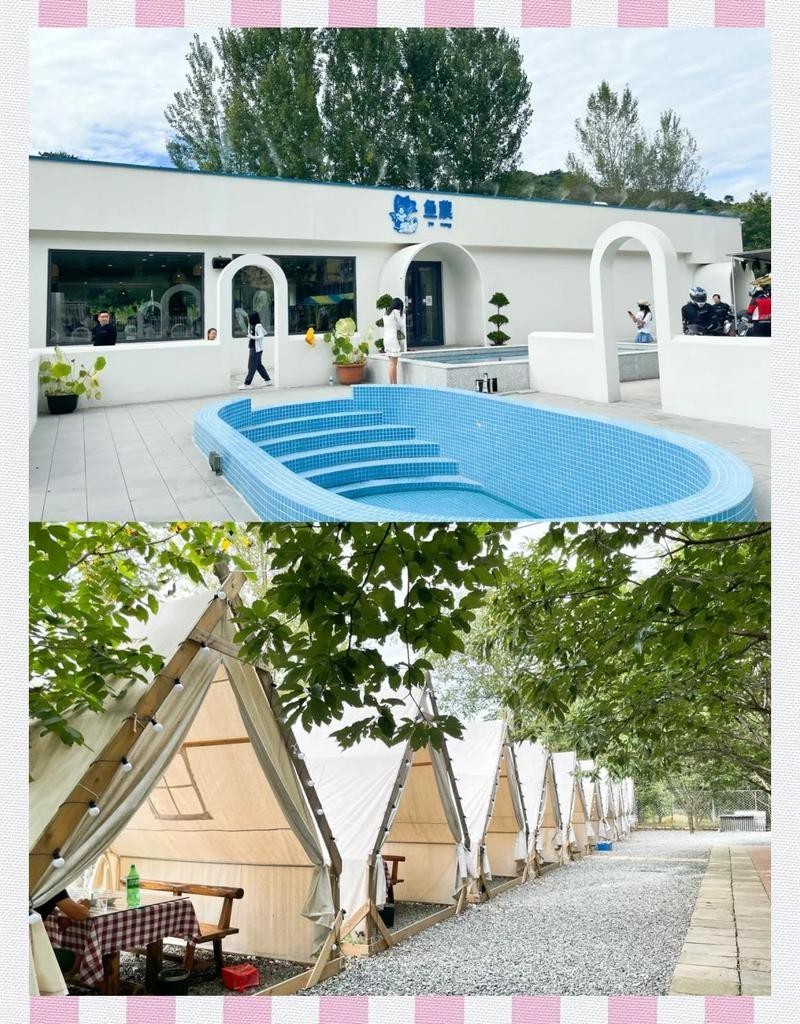 懷柔龍魚店,一家懷柔的龍魚店哪家懷柔的龍魚店口碑最好 全國水族館企業(yè)名錄 第1張 懷柔龍魚店,一家懷柔的龍魚店哪家懷柔的龍魚店口碑最好 懷柔龍魚店,一家懷柔的龍魚店哪家懷柔的龍魚店口碑最好 全國水族館企業(yè)名錄 第1張