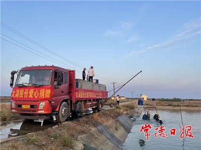 魟魚一定養一對嗎：魟魚一定要養一對嗎[需手動填充]魚是否一定要養一對，答案并不是絕對的 魟魚一定養一對嗎：魟魚一定要養一對嗎[需手動填充]魚是否一定要養一對，答案并不是絕對的 魟魚百科 第1張