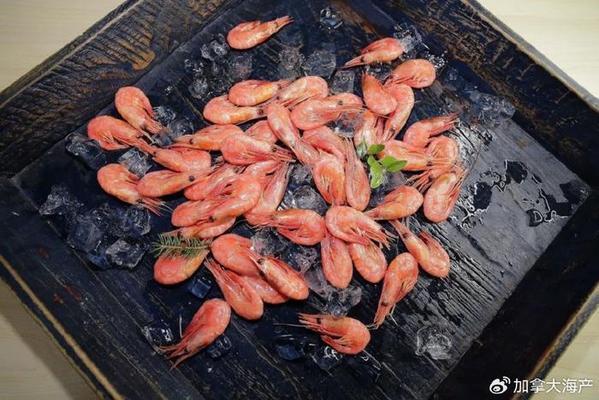 三十公分的紅龍魚一天喂幾次最佳：三十公分的紅龍魚喂食頻率，每天喂兩次，這樣做既能獲得營養